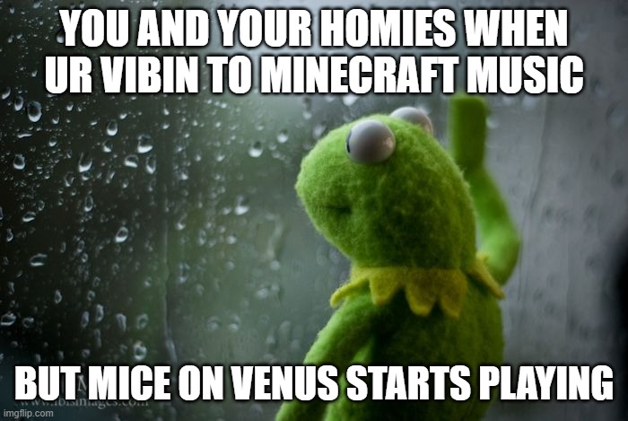 Damn Nostalgia | YOU AND YOUR HOMIES WHEN UR VIBIN TO MINECRAFT MUSIC; BUT MICE ON VENUS STARTS PLAYING | image tagged in kermit window | made w/ Imgflip meme maker