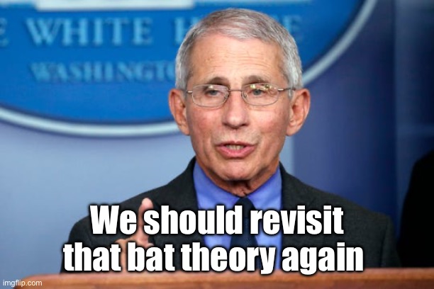 Na na na na na na na na bat theory | We should revisit that bat theory again | image tagged in dr fauci,politics lol,memes | made w/ Imgflip meme maker