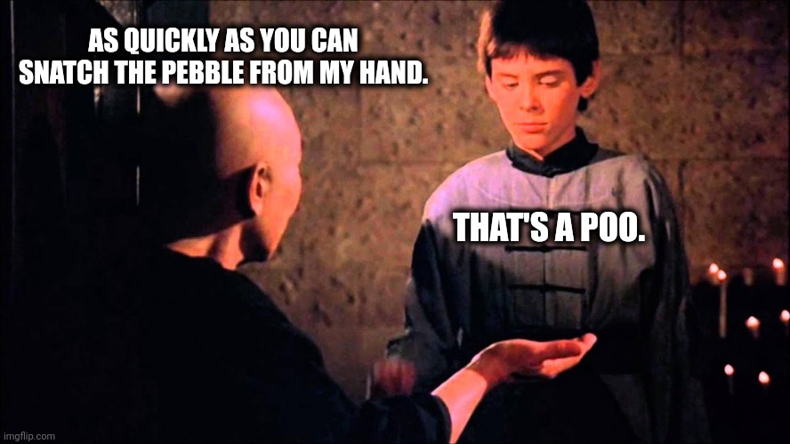 AS QUICKLY AS YOU CAN SNATCH THE PEBBLE FROM MY HAND. THAT'S A POO. | image tagged in kung fu | made w/ Imgflip meme maker
