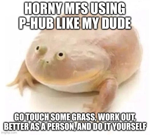 Just being honest like dude | HORNY MFS USING P-HUB LIKE MY DUDE; GO TOUCH SOME GRASS, WORK OUT, BETTER AS A PERSON, AND DO IT YOURSELF | image tagged in my dudes | made w/ Imgflip meme maker