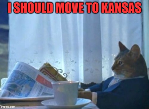 I Should Buy A Boat Cat Meme | I SHOULD MOVE TO KANSAS | image tagged in memes,i should buy a boat cat | made w/ Imgflip meme maker