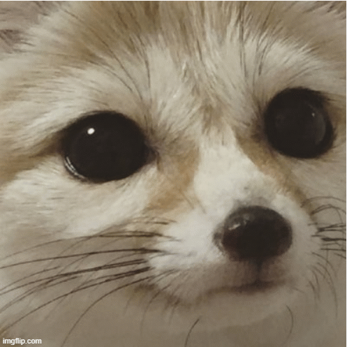 aww | image tagged in gifs | made w/ Imgflip images-to-gif maker