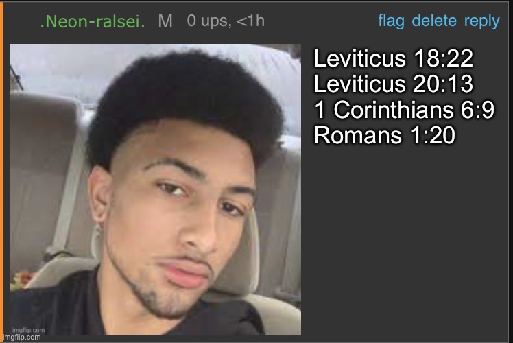 Mod abuse: | Leviticus 18:22
Leviticus 20:13
1 Corinthians 6:9
Romans 1:20 | image tagged in mod abuse | made w/ Imgflip meme maker