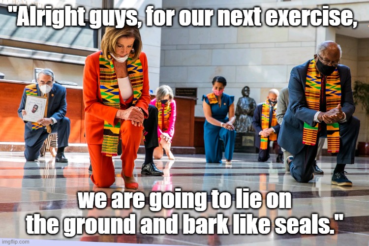 For Our Next Excercise | "Alright guys, for our next exercise, we are going to lie on the ground and bark like seals." | image tagged in democrats kneeling,excercise | made w/ Imgflip meme maker