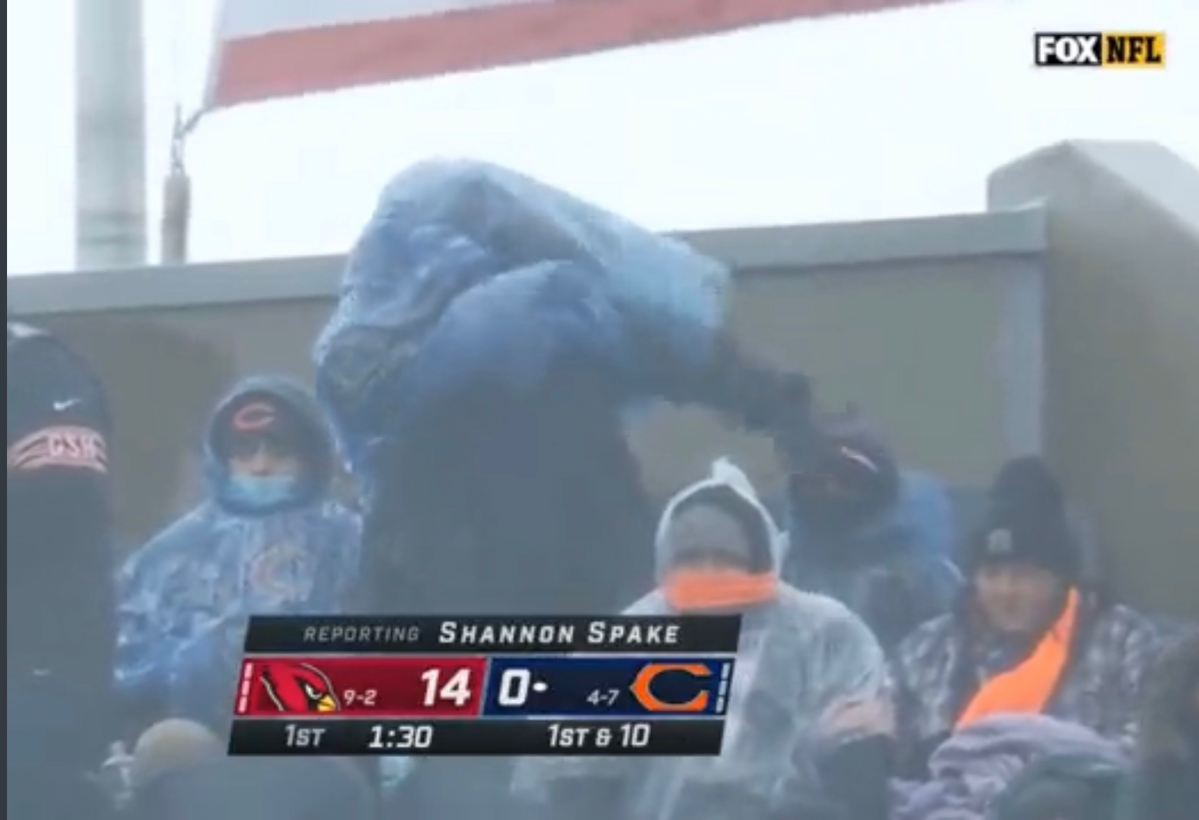 Bears bag fan Blank Meme Template