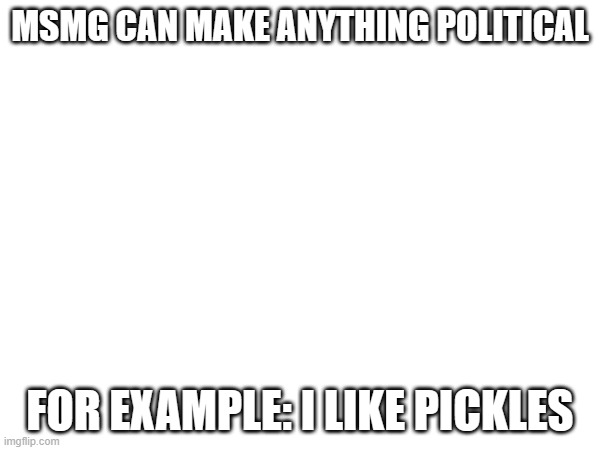 MSMG CAN MAKE ANYTHING POLITICAL; FOR EXAMPLE: I LIKE PICKLES | made w/ Imgflip meme maker