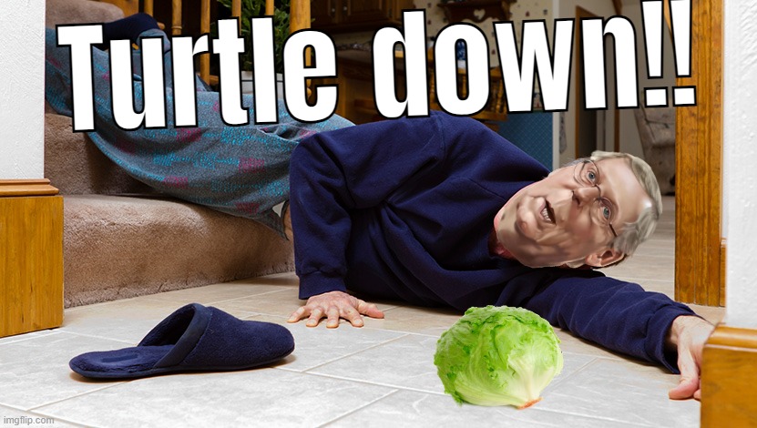 TURTLE DOWN! | Turtle down!! | image tagged in bitch,mitch mcconnell,falling down,stairs,concussion,man | made w/ Imgflip meme maker