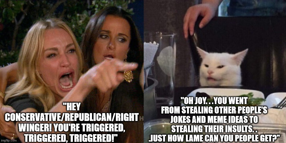 They don't have any sense of imagination or originality. | "HEY CONSERVATIVE/REPUBLICAN/RIGHT WINGER! YOU'RE TRIGGERED, TRIGGERED, TRIGGERED!"; "OH JOY. . .YOU WENT FROM STEALING OTHER PEOPLE'S JOKES AND MEME IDEAS TO STEALING THEIR INSULTS. . .JUST HOW LAME CAN YOU PEOPLE GET?" | image tagged in woman yelling at cat,stupid liberals,liberal logic,liberal vs conservative | made w/ Imgflip meme maker