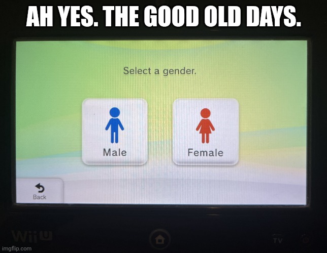 There are 2 genders confirmed | AH YES. THE GOOD OLD DAYS. | image tagged in there are 2 genders confirmed,homophobic | made w/ Imgflip meme maker