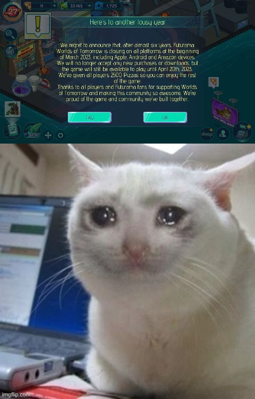 image tagged in futurama wot sad news,crying cat | made w/ Imgflip meme maker