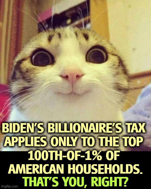 GOP hysteria | BIDEN'S BILLIONAIRE'S TAX 
APPLIES ONLY TO THE TOP 
100TH-OF-1% OF 
AMERICAN HOUSEHOLDS. THAT'S YOU, RIGHT? | image tagged in memes,smiling cat,biden,billionaire,tax | made w/ Imgflip meme maker