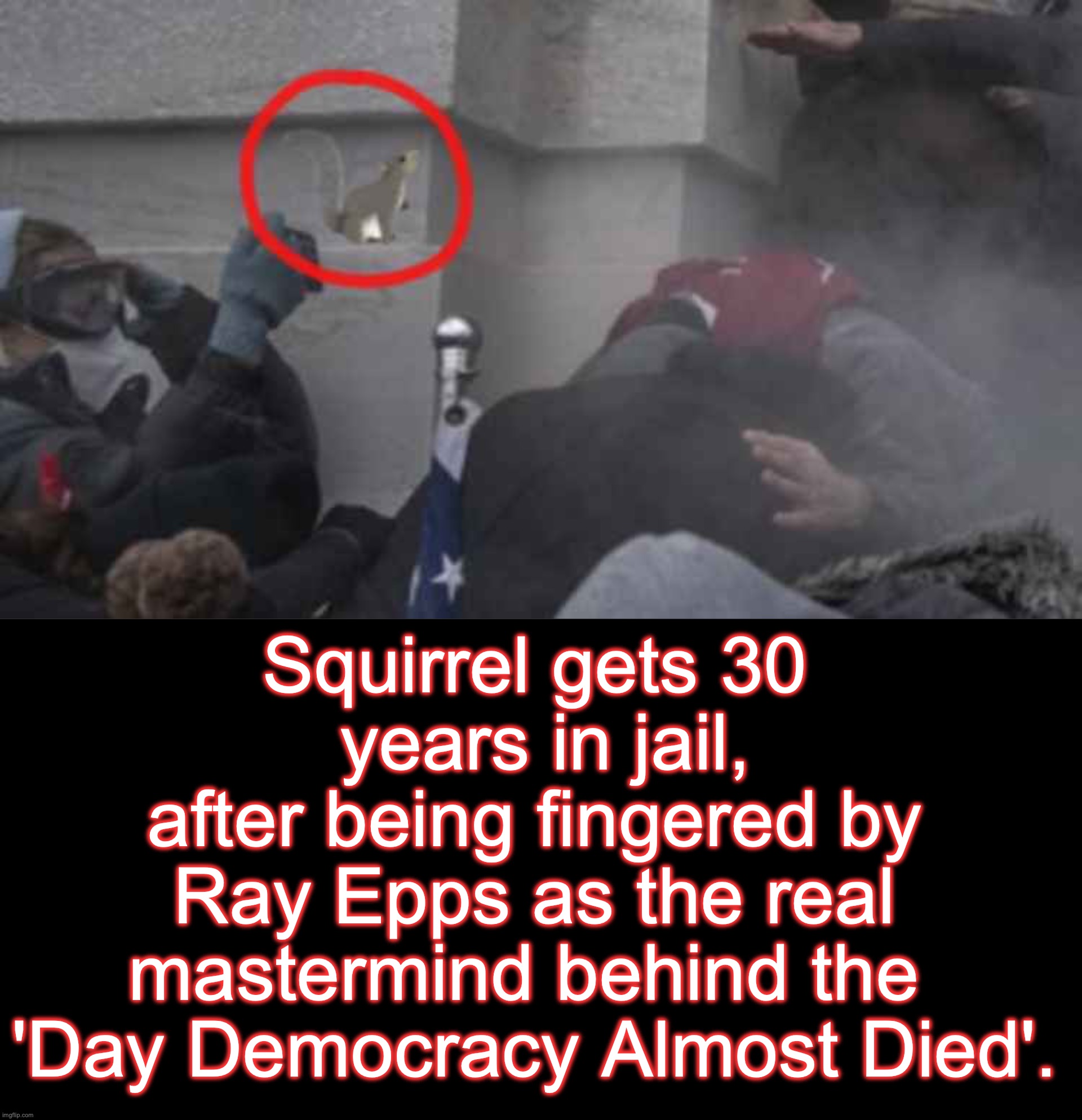 The audacity of these squirrel-anon members [warning: well-deserved satire] | Squirrel gets 30  years in jail,
after being fingered by Ray Epps as the real mastermind behind the 
'Day Democracy Almost Died'. | image tagged in black box,squirrel,january,6 panel | made w/ Imgflip meme maker