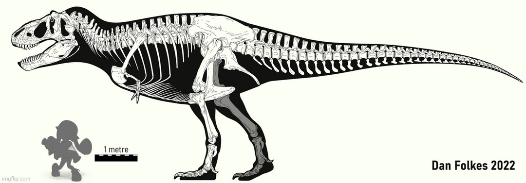 A T Rex skeleton compared to an Inkling | image tagged in crossover,anybody | made w/ Imgflip meme maker