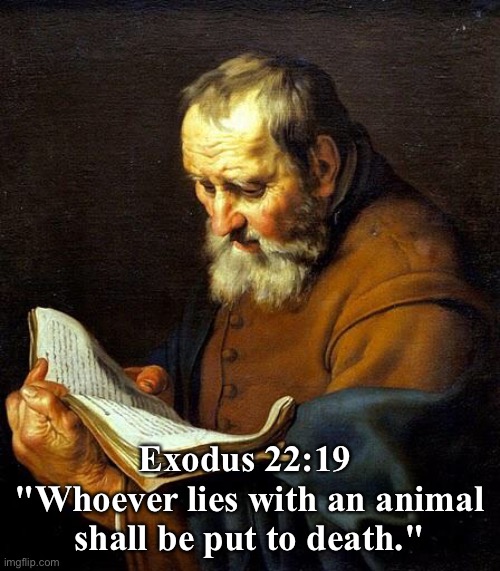 Oh bible  | Exodus 22:19 
"Whoever lies with an animal shall be put to death." | image tagged in oh bible | made w/ Imgflip meme maker