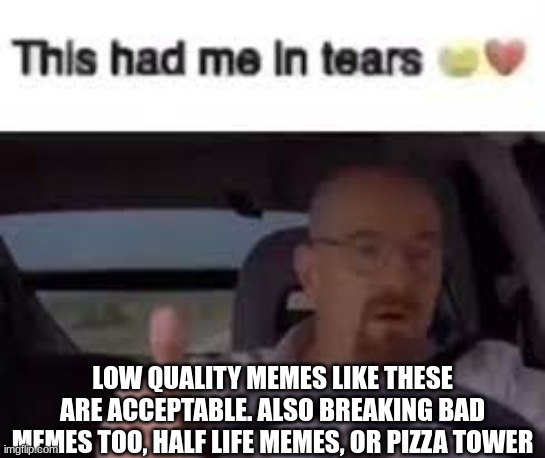 LOW QUALITY MEMES LIKE THESE ARE ACCEPTABLE. ALSO BREAKING BAD MEMES TOO, HALF LIFE MEMES, OR PIZZA TOWER | made w/ Imgflip meme maker