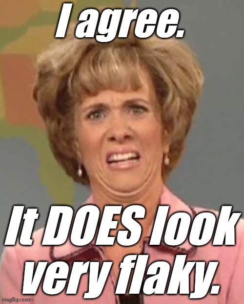 Wiig - Face of Total Disgust | I agree. It DOES look very flaky. | image tagged in wiig - face of total disgust | made w/ Imgflip meme maker