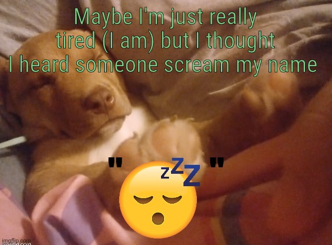 quandale | Maybe I'm just really tired (I am) but I thought I heard someone scream my name | image tagged in quandale | made w/ Imgflip meme maker