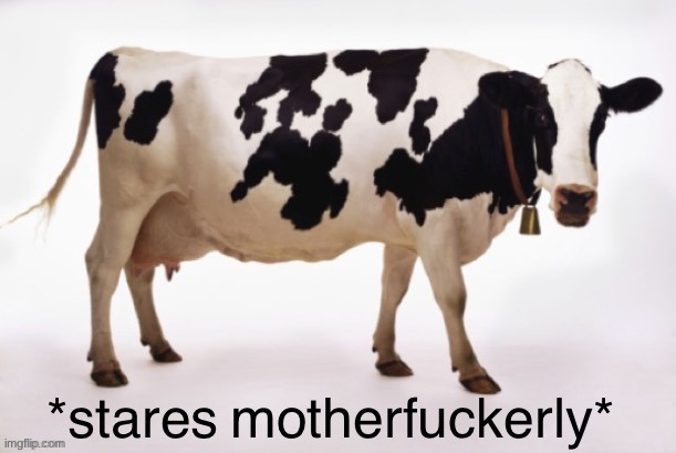 Chick-Fil-A cow stares motherfuckerly | image tagged in chick-fil-a cow stares motherfuckerly | made w/ Imgflip meme maker