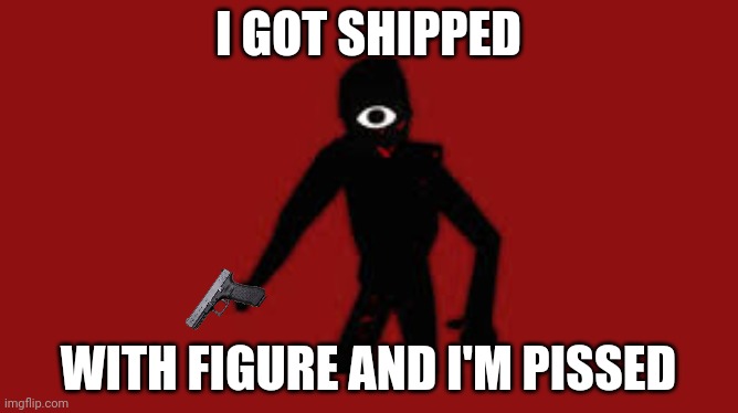 Oooooool | I GOT SHIPPED; WITH FIGURE AND I'M PISSED | image tagged in seek | made w/ Imgflip meme maker