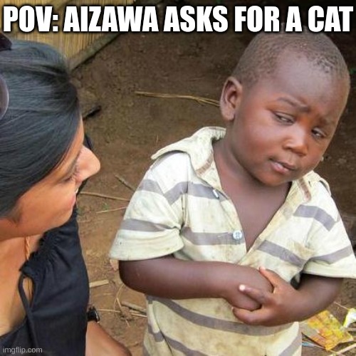 POV: Aizawa asks for a cat | POV: AIZAWA ASKS FOR A CAT | image tagged in memes,third world skeptical kid,my hero academia | made w/ Imgflip meme maker