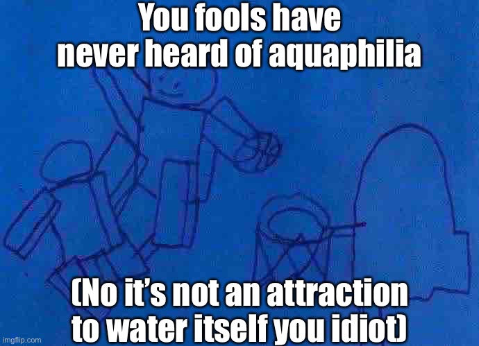 Idgaf what you say | You fools have never heard of aquaphilia; (No it’s not an attraction to water itself you idiot) | image tagged in go ahead harass me,i dont know what it will change | made w/ Imgflip meme maker