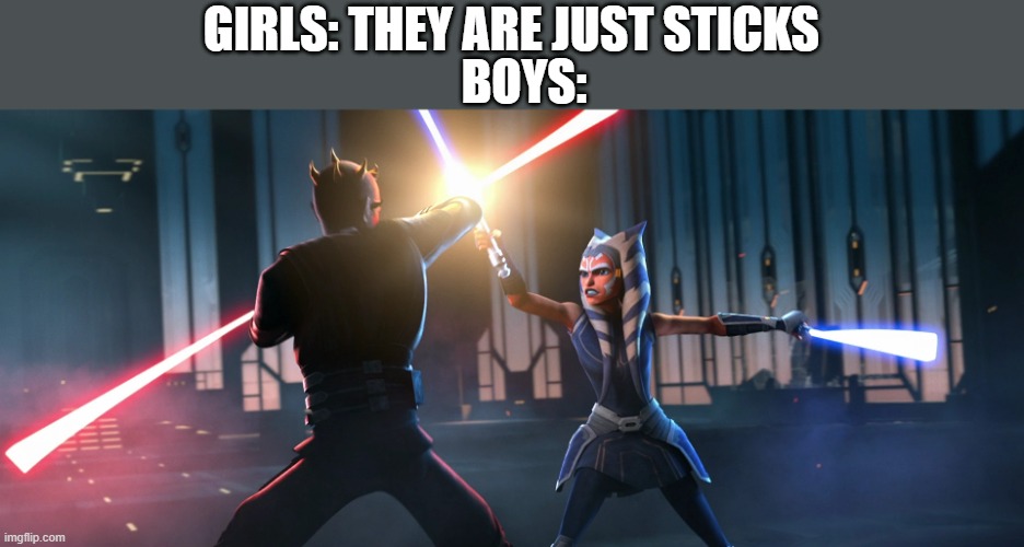 Everything can be weapons in boys hand | BOYS:; GIRLS: THEY ARE JUST STICKS | image tagged in stick | made w/ Imgflip meme maker