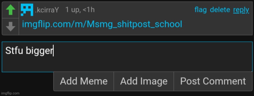 Bigger is allowed site mods | made w/ Imgflip meme maker