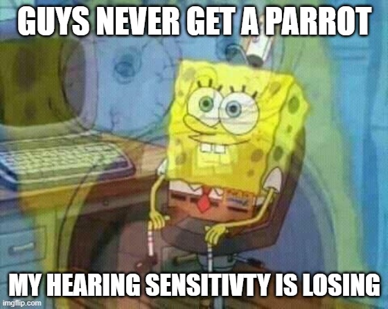 oh no | GUYS NEVER GET A PARROT; MY HEARING SENSITIVTY IS LOSING | image tagged in spongebob panic inside | made w/ Imgflip meme maker