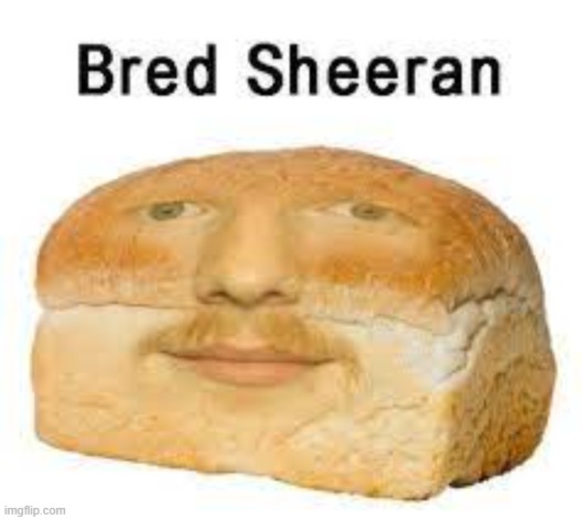image tagged in bred sheeran | made w/ Imgflip meme maker