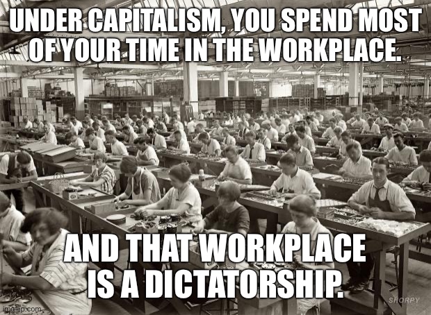 Workplace democracy now | UNDER CAPITALISM, YOU SPEND MOST
OF YOUR TIME IN THE WORKPLACE. AND THAT WORKPLACE IS A DICTATORSHIP. | image tagged in factory workers,union,working class,capitalism,anti-capitalist,socialism | made w/ Imgflip meme maker
