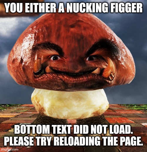 YOU EITHER A NUCKING FIGGER; BOTTOM TEXT DID NOT LOAD. PLEASE TRY RELOADING THE PAGE. | made w/ Imgflip meme maker