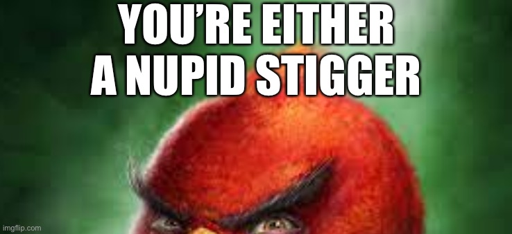 I tried ok | YOU’RE EITHER A NUPID STIGGER | image tagged in balls | made w/ Imgflip meme maker