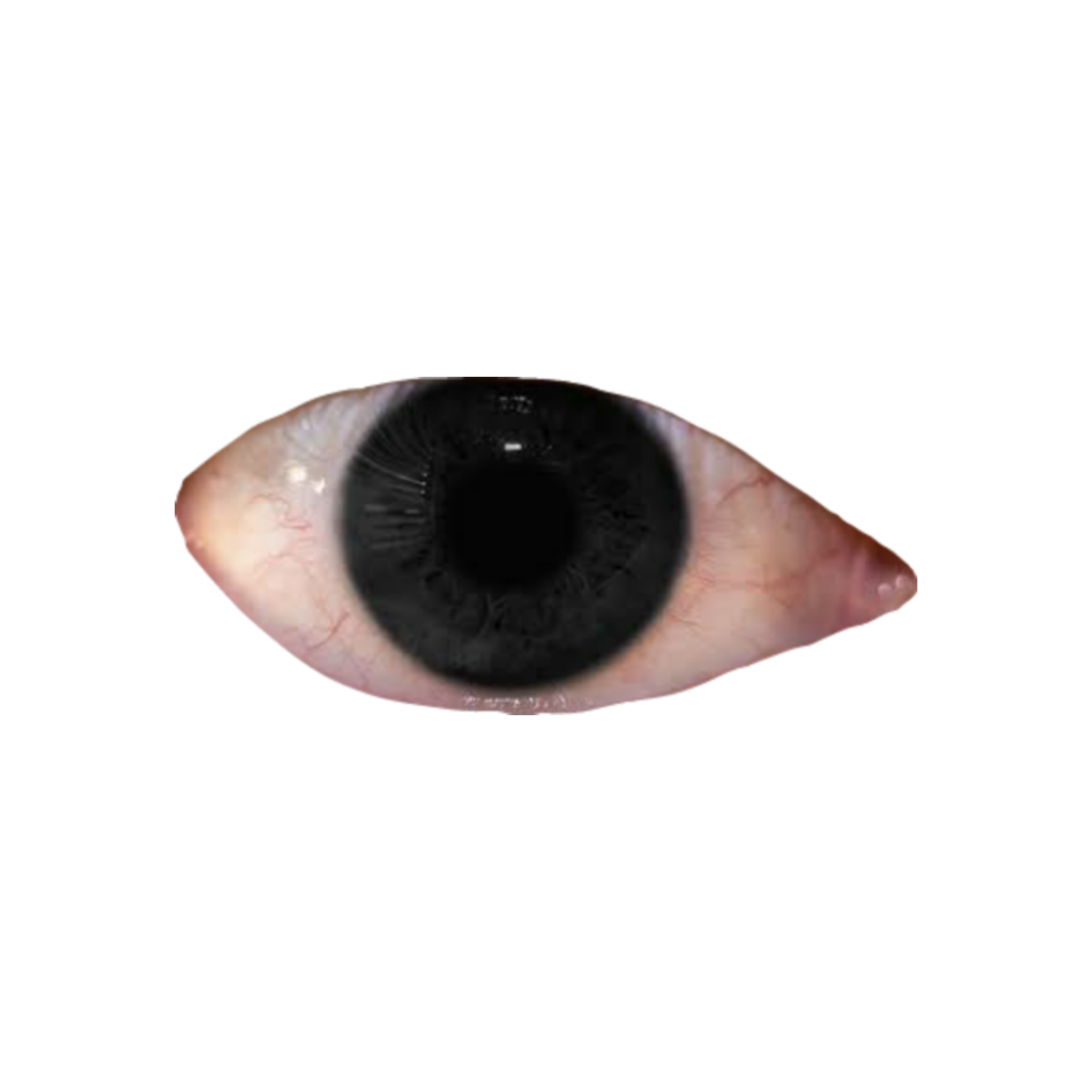 weirdcore eye}