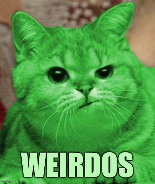 RayCat Annoyed | WEIRDOS | image tagged in raycat annoyed | made w/ Imgflip meme maker