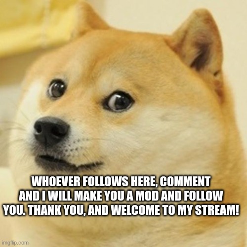 Hello! | WHOEVER FOLLOWS HERE, COMMENT AND I WILL MAKE YOU A MOD AND FOLLOW YOU. THANK YOU, AND WELCOME TO MY STREAM! | image tagged in memes,doge | made w/ Imgflip meme maker
