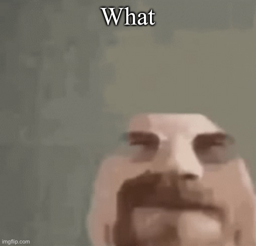 heisenburger | What | image tagged in heisenburger | made w/ Imgflip meme maker