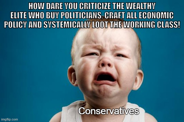 Conservatives stand up for the wrong minority |  HOW DARE YOU CRITICIZE THE WEALTHY ELITE WHO BUY POLITICIANS, CRAFT ALL ECONOMIC POLICY AND SYSTEMICALLY LOOT THE WORKING CLASS! Conservatives | image tagged in baby crying,capitalism,billionaire,anti-capitalist,conservative logic,bootlicker | made w/ Imgflip meme maker