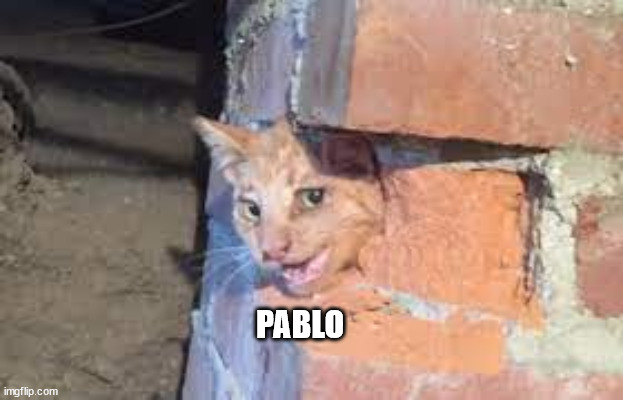 pablo | PABLO | image tagged in pablo | made w/ Imgflip meme maker