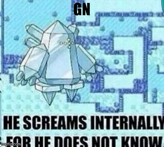 He screams internally for he does not know | GN | image tagged in he screams internally for he does not know | made w/ Imgflip meme maker