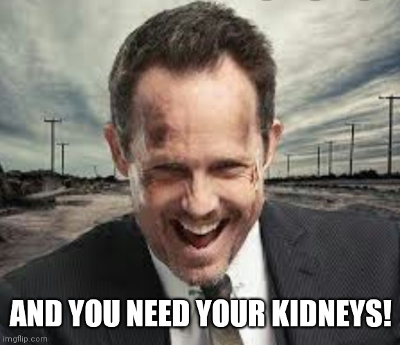 Mayhem and Kidney Stones | AND YOU NEED YOUR KIDNEYS! | image tagged in mayhem and kidney stones | made w/ Imgflip meme maker