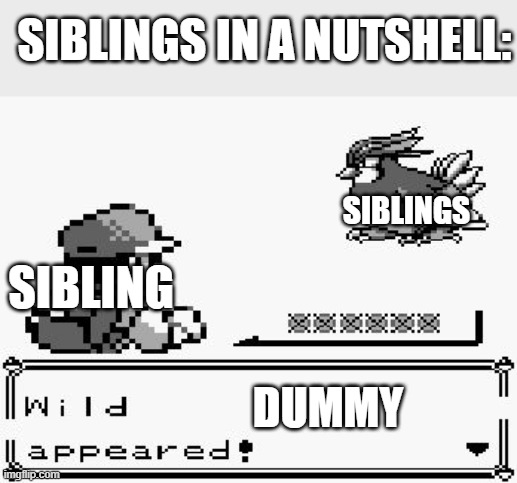 pokemon appears | SIBLINGS IN A NUTSHELL:; SIBLINGS; SIBLING; DUMMY | image tagged in pokemon appears | made w/ Imgflip meme maker