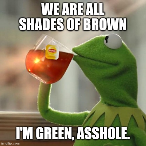 But That's None Of My Business Meme | WE ARE ALL SHADES OF BROWN I'M GREEN, ASSHOLE. | image tagged in memes,but that's none of my business,kermit the frog | made w/ Imgflip meme maker