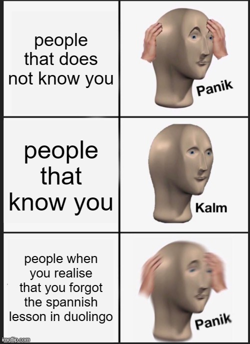 im paniking so much if that happens | people that does not know you; people that know you; people when you realise that you forgot the spannish lesson in duolingo | image tagged in memes,panik kalm panik | made w/ Imgflip meme maker