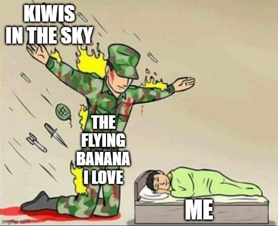 imagination | KIWIS IN THE SKY; THE FLYING BANANA I LOVE; ME | image tagged in soldier protecting sleeping child,imagination,kiwi,banana,fly,oh wow are you actually reading these tags | made w/ Imgflip meme maker