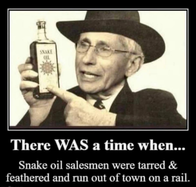 There was a time when snake oil salesmen were tarred & feathered and run out of town on a rail. | image tagged in snake oil salesmen,tar and feathers,dr fauci,angel of death,dr evil,plandemic | made w/ Imgflip meme maker