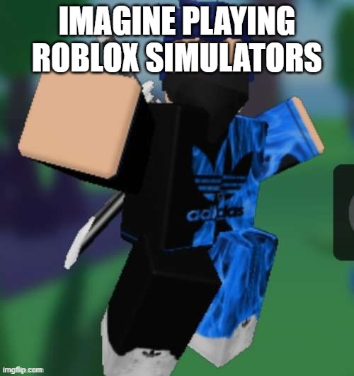 MR BEEEEEAAAAAA | IMAGINE PLAYING ROBLOX SIMULATORS | image tagged in mr beeeeeaaaaaa | made w/ Imgflip meme maker