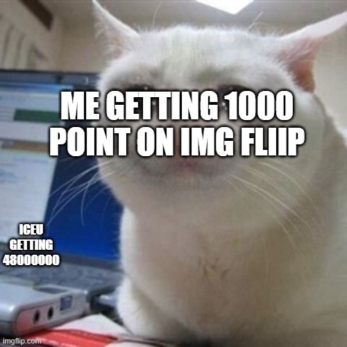 Crying cat | ME GETTING 1000 POINT ON IMG FLIIP; ICEU GETTING 48000000 | image tagged in crying cat | made w/ Imgflip meme maker