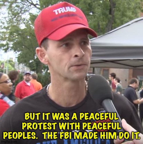 Trump supporter | BUT IT WAS A PEACEFUL PROTEST WITH PEACEFUL PEOPLES.  THE FBI MADE HIM DO IT. | image tagged in trump supporter | made w/ Imgflip meme maker