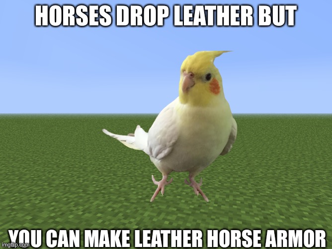 I’m not sorry | HORSES DROP LEATHER BUT; YOU CAN MAKE LEATHER HORSE ARMOR | image tagged in cursed,memes,minecraft | made w/ Imgflip meme maker