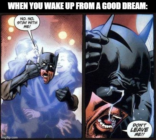 Batman don't leave me | WHEN YOU WAKE UP FROM A GOOD DREAM: | image tagged in batman don't leave me | made w/ Imgflip meme maker